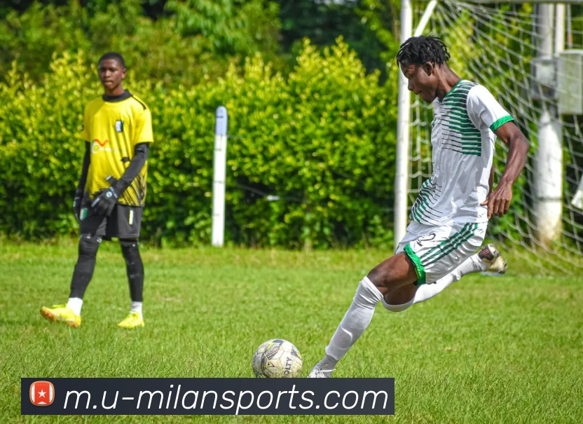 多媒体互动体验